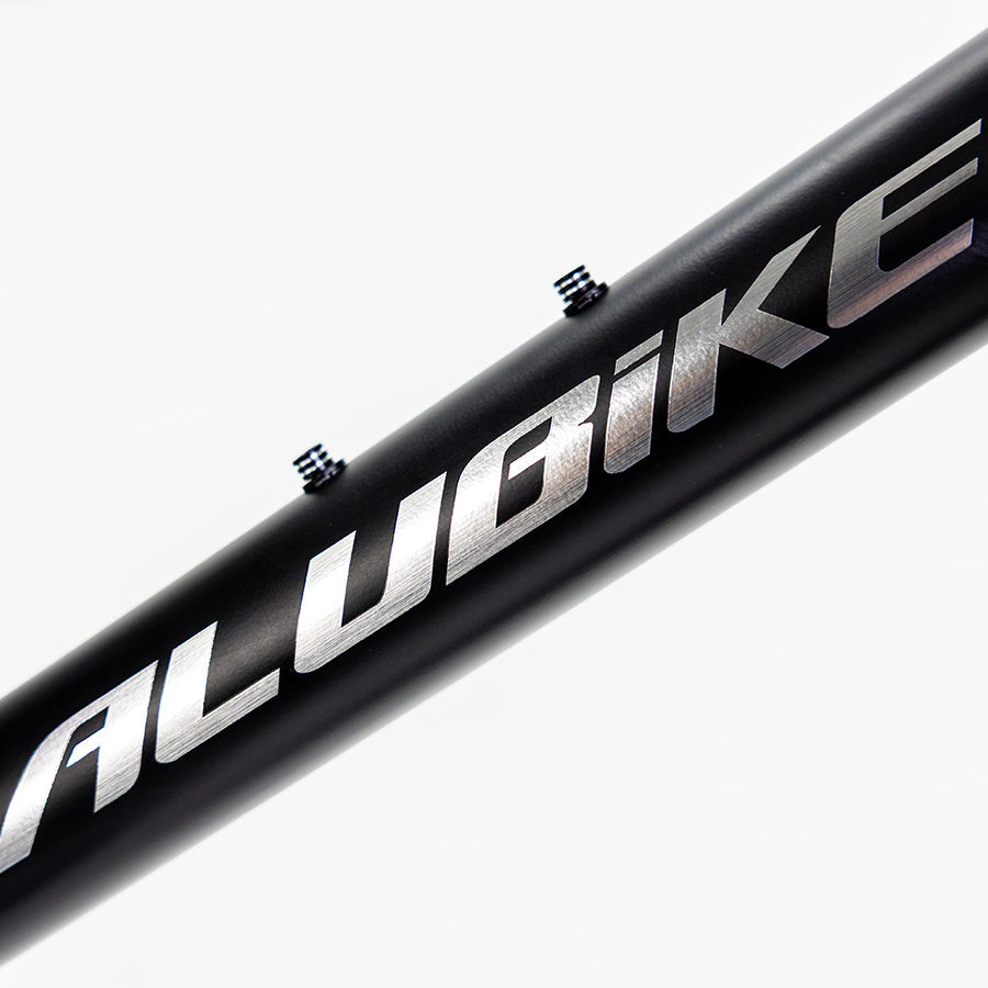 ALUBIKE MTB XTA 1.0 29 NEGRO T-M 10V 2026