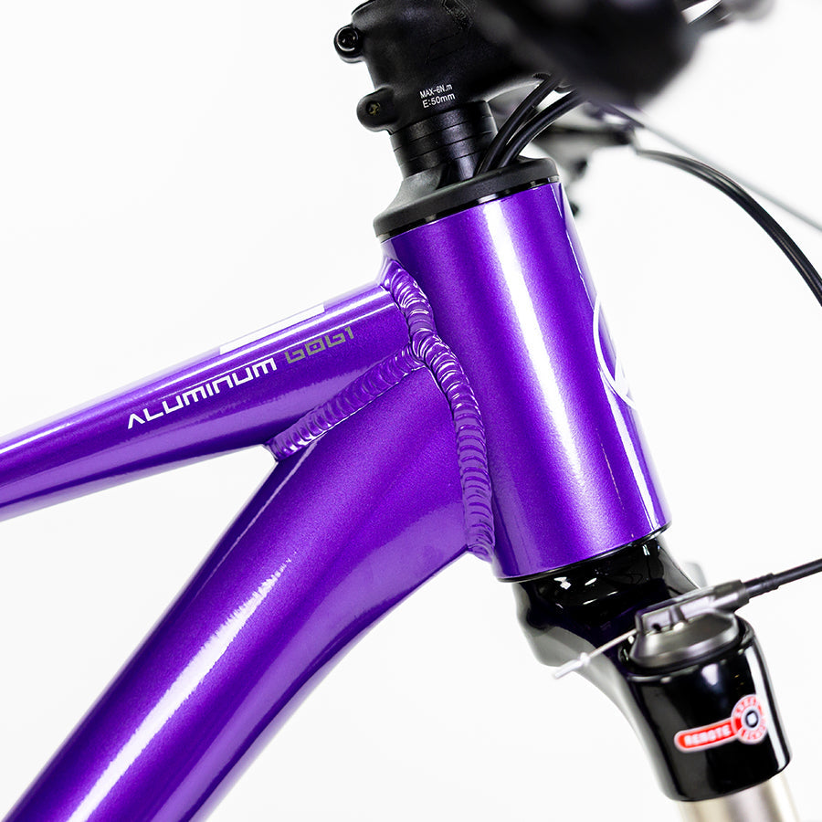 ALUBIKE MTB XTA 2.0 29 PURPURA TALLA M 11V