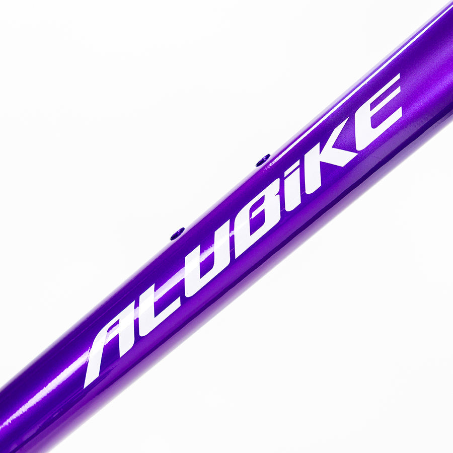 ALUBIKE MTB XTA 2.0 29 PURPURA TALLA M 11V