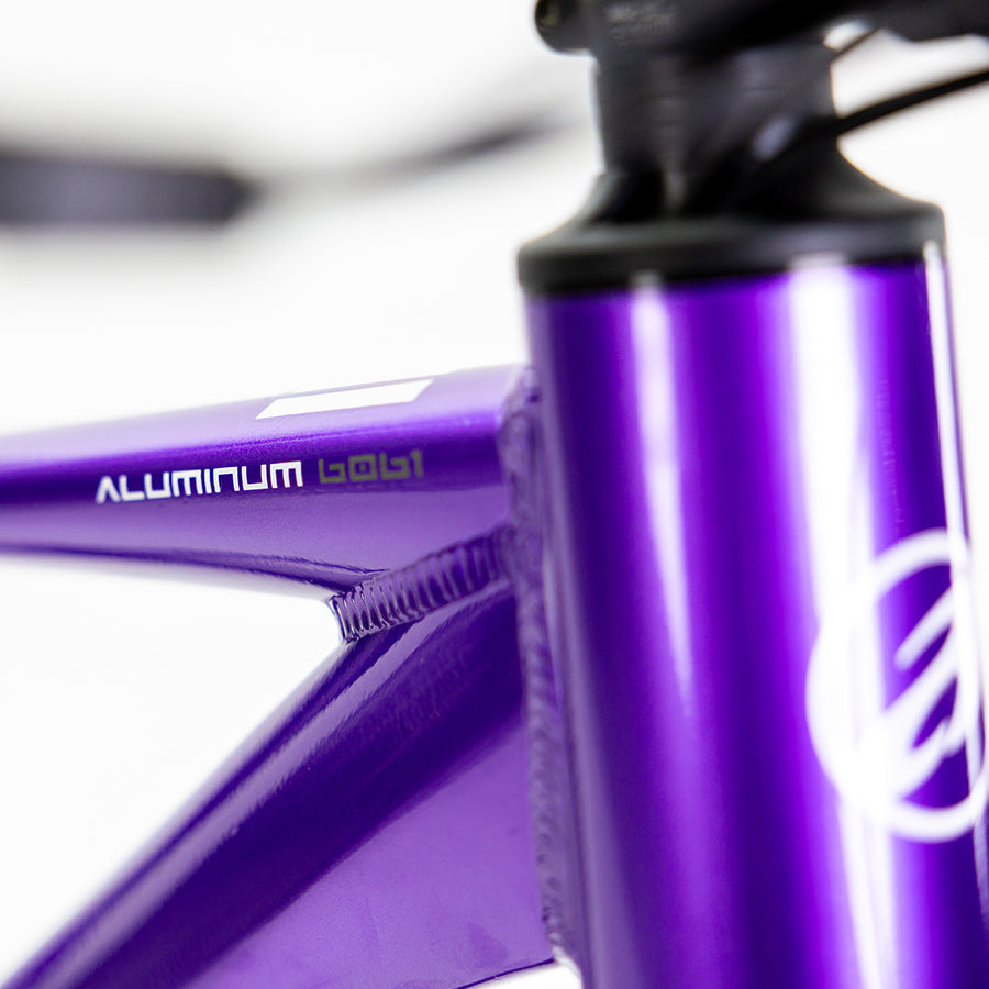 ALUBIKE MTB XTA 2.0 29 PURPURA TALLA M 11V