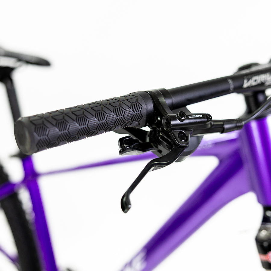 ALUBIKE MTB XTA 2.0 29 PURPURA TALLA M 11V