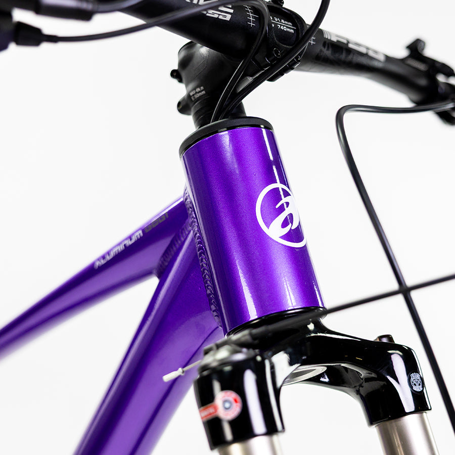 ALUBIKE MTB XTA 2.0 29 PURPURA TALLA M 11V