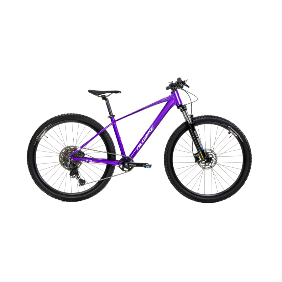 ALUBIKE MTB XTA 2.0 29 PURPURA TALLA M 11V